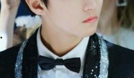 王俊凯爆料男星视频大全,揭秘男星幕后视频大揭秘