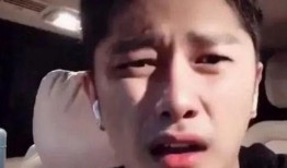 演员成毅最新爆料视频在线观看,演艺生涯背后的故事与感悟