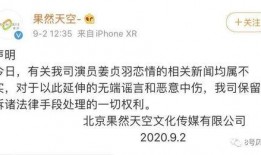 王嘉尔徐新俊最新爆料,揭秘娱乐圈不为人知的幕后故事