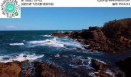 巴厘岛真实爆料视频播放
