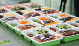 预制菜工厂爆料视频播放,揭秘幕后生产过程与播放视频背后的真相