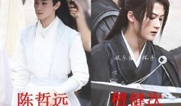 狗仔爆料陈哲远鞠婧祎视频,狗仔爆料背后真相揭晓