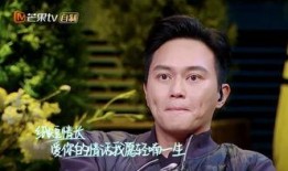 袁咏仪爆料张智霖视频,娱乐圈再掀波澜