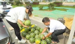 黑网料吃瓜网免费,免费获取独家内幕，揭秘娱乐圈幕后真相