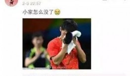 网红爆料张继科视频播放,网红爆料引发热议