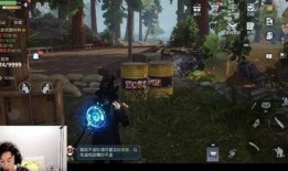 黎明觉醒最新爆料春节,春节新篇章，揭秘神秘爆料背后的秘密