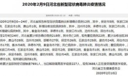 铜仁最新爆料消息今天新增病例,最新疫情通报，新增病例引发关注！”