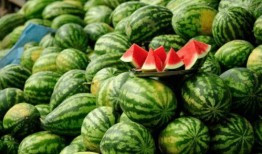 镇平网红吃瓜事件真相是真的吗,真相揭秘，还原事件始末