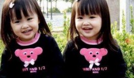 贺妈爆料双胞胎视频,萌态可掬引网友热议