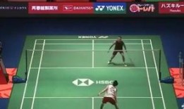 杨晨大神爆料羽毛球视频,羽毛球高手实战技巧全解析