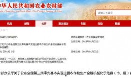 辛集新闻头条爆料热线,聚焦民生，倾听民意，共筑和谐辛集