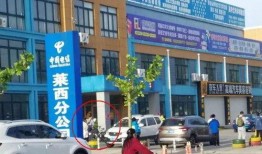 青岛某高中爆料视频最新,揭秘校园内幕，真相令人震惊！