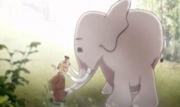 沈猛爆料老驴视频大全,老驴视频大全背后的惊人真相