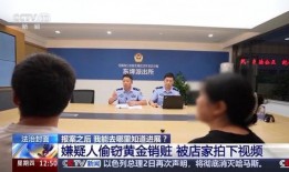 法治在线在线观看视频,深度解析法治进程与在线观看体验