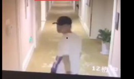 女子爆料酒店视频播放大全,揭秘酒店监控下的不为人知瞬间