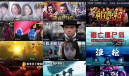 牛媒之声爆料视频,视频内容深度解析
