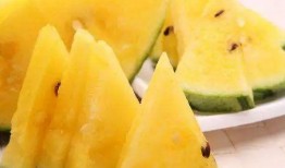 黑网料吃瓜网免费,免费获取独家内幕，揭秘娱乐圈幕后真相