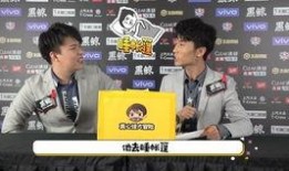 解说潇洒爆料视频大全,揭秘视频大全背后的精彩瞬间