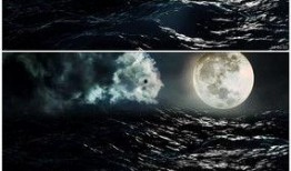 月光爆料视频大全下载,揭秘幕后精彩瞬间