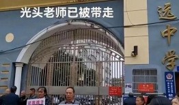 爆料致远中学事件视频最新,真相与争议交织