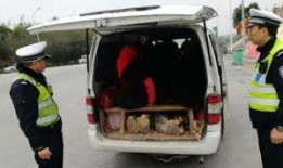 泉州面包车爆料最新消息,最新事故现场细节曝光