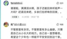 爆料致远中学事件视频最新,真相与争议交织