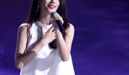 陈小姐在深圳的爆料视频,揭秘城市生活背后真相