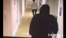 女子爆料酒店视频播放大全,揭秘酒店监控下的不为人知瞬间