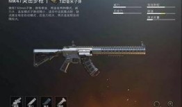 新版本枪械爆料视频,揭秘未来战场利器