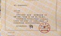 电影 录取通知在线观看,梦想起航的青春篇章