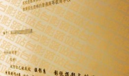 电影 录取通知在线观看,梦想起航的青春篇章