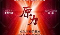 环球百态爆料视频,揭秘世界各地的奇闻异事