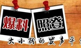 庆阳本地新闻爆料平台官网,聚焦本地热点事件追踪