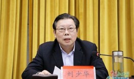 爆料萍乡刘少华事件视频,视频揭露惊人真相