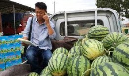 镇平网红吃瓜事件真相是真的吗,真相揭秘，还原事件始末