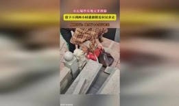 隔壁村最新爆料,揭秘神秘事件背后的惊人真相！