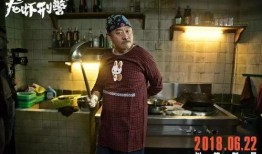 麻辣刑警在线观看,在线追凶，正义不容迟疑