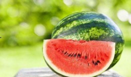 网红吃瓜每日更新,每日新鲜瓜料，带你领略娱乐圈风云变幻