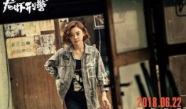 麻辣刑警在线观看,在线追凶，正义不容迟疑