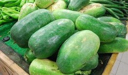 雨季冬瓜爆料怎么做视频,揭秘视频制作全攻略