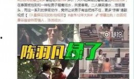 大爆料黑店后续视频大全,揭秘真相，追踪事件发展全记录