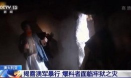 明星暴行惨被爆料视频,惨遭全网热议