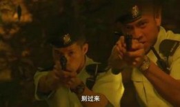 对峙在线观看,巅峰对决，揭秘在线观看背后的精彩瞬间