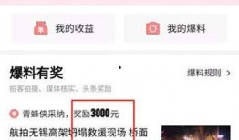 张家口今日头条爆料视频,惊现神秘事件，真相令人震惊！
