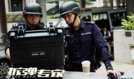 拆弹专家在线观看粤语,惊心动魄的拆弹传奇