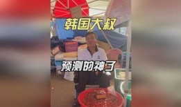 韩国爆料大叔视频大全在线观看,揭秘娱乐圈幕后真相