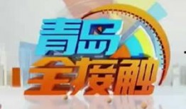 四频道在线直播观看,实时捕捉精彩瞬间，尽享视听盛宴