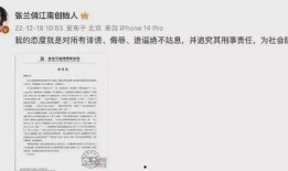 爆料芳姐说真话视频播放,芳姐说真话视频播放背后的故事