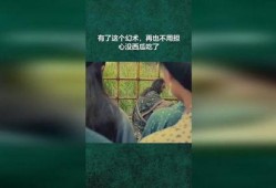 不中幻术就免费吃瓜,免费品尝神秘瓜果之旅