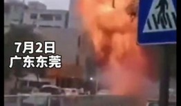 东莞视频爆料事件,揭秘背后真相与网络舆论风暴